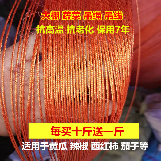 无棣县轮胎线吊秧绳大棚蔬菜吊绳黄瓜西红柿辣椒番茄轮胎线吊蔓绳绑蔓