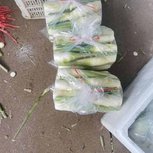 漳州茭白产地直达，按需发货！对接各大平台已经超市！