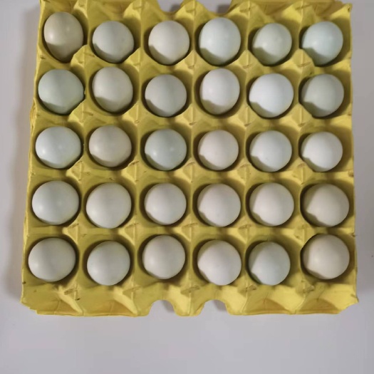 绿壳蛋 源头厂家 精心挑选 货源充足 平台优选