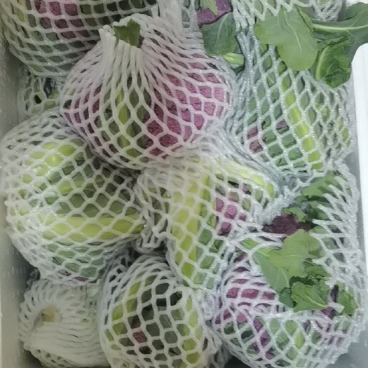 宝塔菜花 特菜