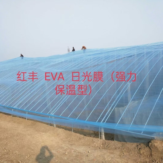 寿光市棚膜 红丰牌农业用大棚EVA PO膜  塑料薄膜透光性好