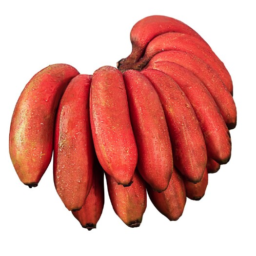 红香蕉 红皮香蕉新鲜5/9斤自然熟新鲜现摘土楼红皮美人蕉一件