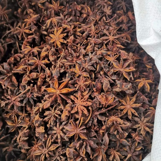 防城港大红八角全干，水烫果，自家村种的都是老八角品种，希望有老板收