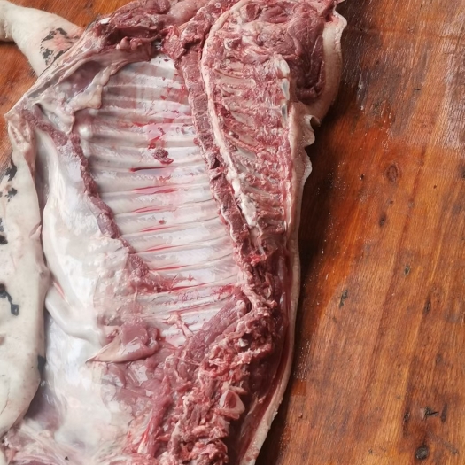 始兴县香猪肉 纯生态养殖的香猪