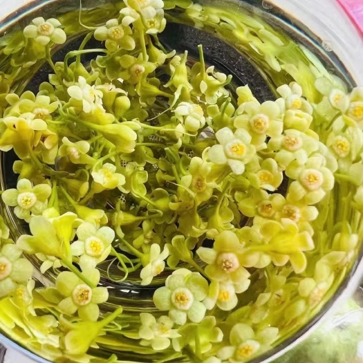 花草茶  沉香花