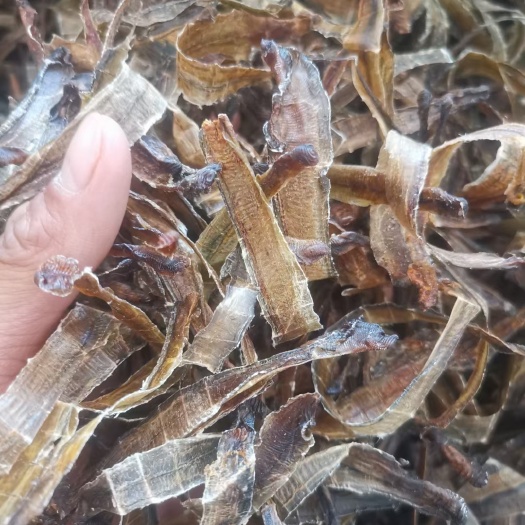 凤凰县土地龙 地龙全开