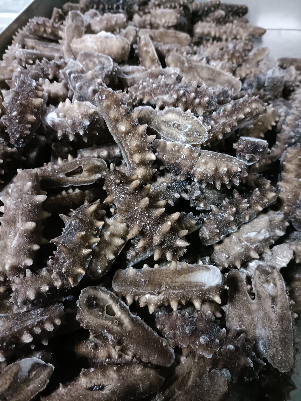  即食海参