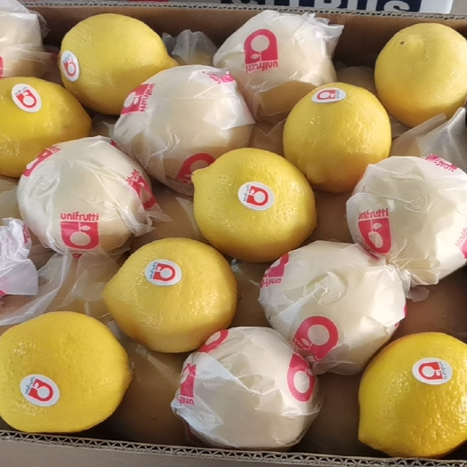 安岳县柠檬安岳柠檬 尤力克柠檬安岳黄柠檬 核心主产区 一级黄柠檬