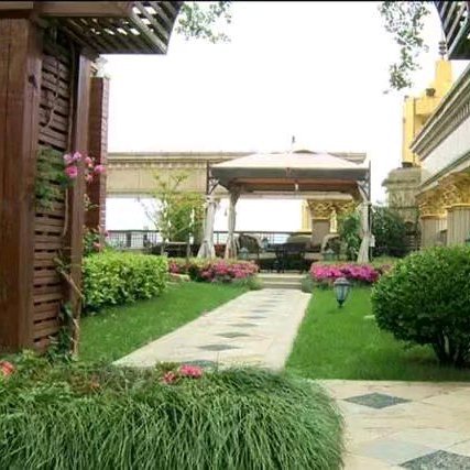 百慕大草种子  百慕大种子 草坪种子四季常青免修剪百慕大庭院