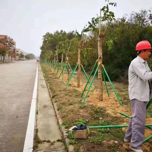 东莞市树木支撑围栏立柱火龙果灯架立柱园林防护栏长度规格可定制