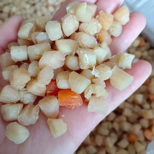 滨州干贝 瑶柱，淡干，盐干都有现货，薄利多销，营养价值很高！！