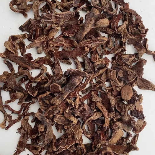 玉林 骨碎补，含量骨碎补，中药骨碎补