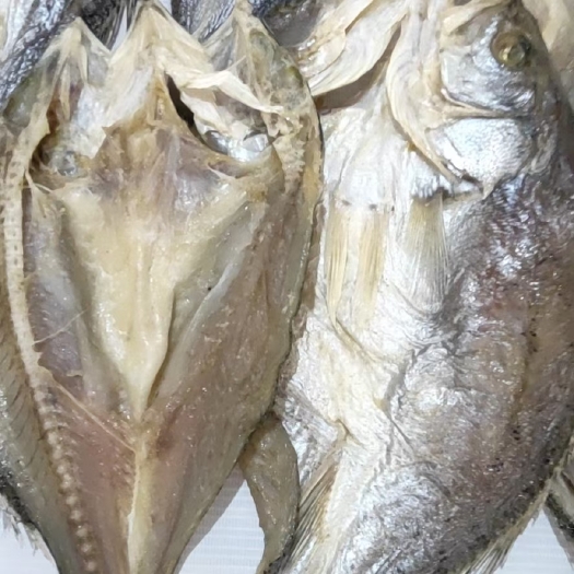 合浦县 开背鲈鱼干 深海开边鲈鱼干