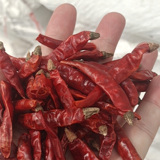 青岛印度干辣椒 干辣椒