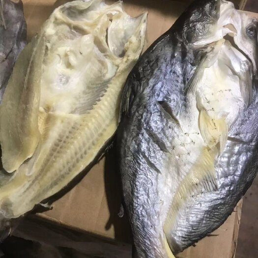 桂林巴沙鱼干 开背巴沙鱼 八成干 刺少肉质鲜嫩