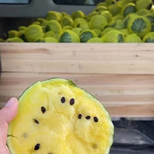 特小凤西瓜 东台特产特小凤农友小兰，口感香脆，甘甜多汁