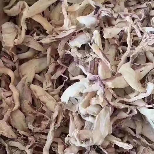 合浦县北海鱿鱼片鱿鱼块 鱿鱼边丝 地摊跑江湖热销鱿鱼干