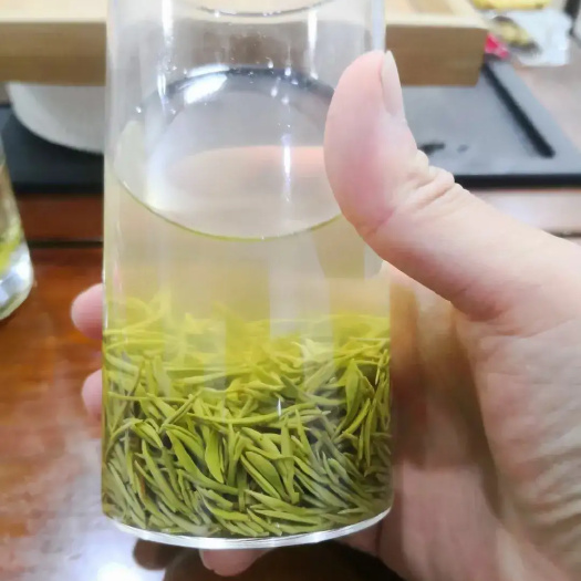 光山县毛尖茶 2022信阳毛尖春茶纯芽茶