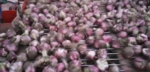 杞县红皮蒜 大蒜，鲜大蒜，价格优惠