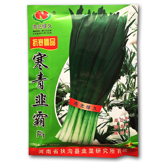 沭阳县 寒青韭霸韭菜种子高抗寒多抗型宽叶不休眠韭菜种籽春秋高产大田孑