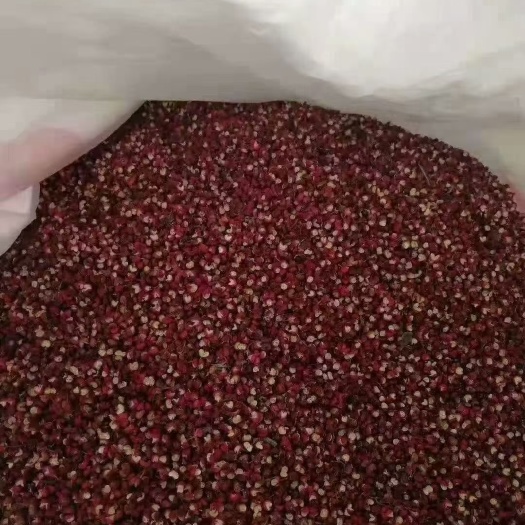 汉源县红花椒 汉源贡椒一手货源产地直销麻香味扑鼻