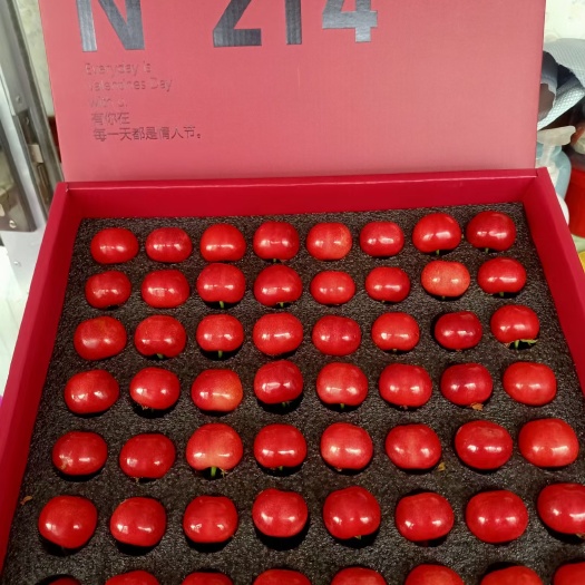 烟台美早樱桃 烟台福山龙悦家庭农场大樱桃