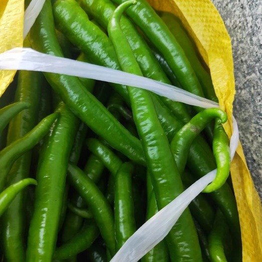 柳州螺丝椒 辣椒