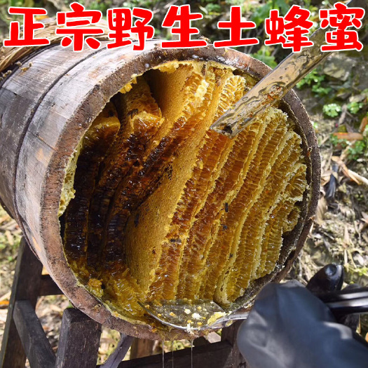 临沂百花蜜 真土蜜蜂自然采摘态正宗农家百花蜂蜜源正品2斤装