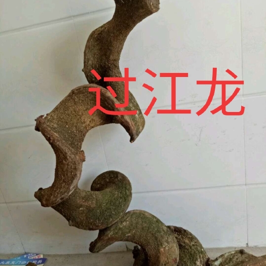 蒙自市 过江龙，过岗龙