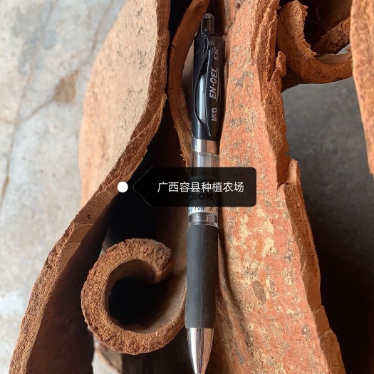 玉林广西容县种植农场特厚特大去皮肉桂板，