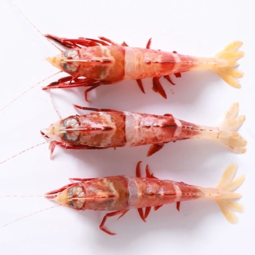 鸡冠虾 225g/盒 鸡冠虾 大头虾海虾虎虾 呛虾 海鲜