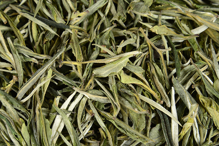 昆明毛尖茶 特级绿茶云南滇绿青针绿茶单芽散茶花香浓香型直条松针滇青茶