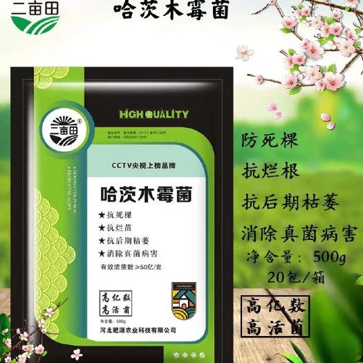 邯郸菌肥   哈茨木霉菌  冲施肥 菌剂