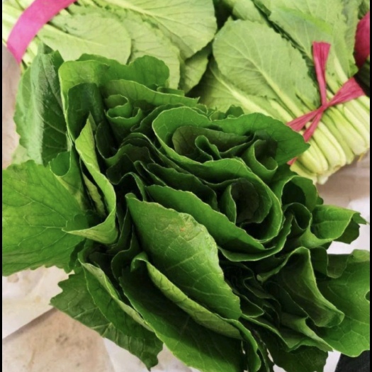 邯郸小白菜