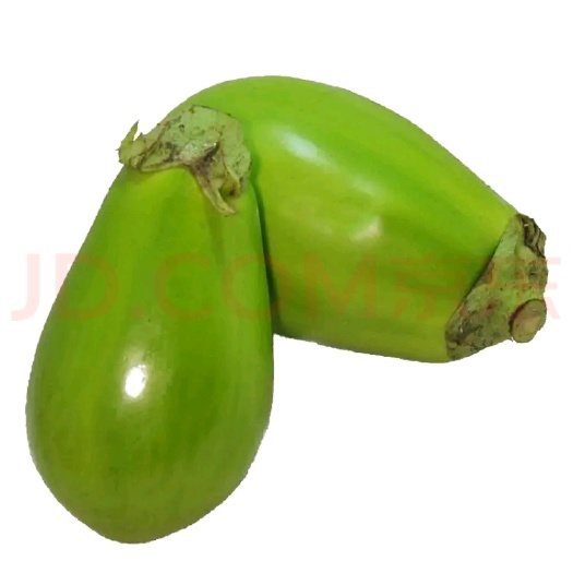 阜阳茄子 青茄