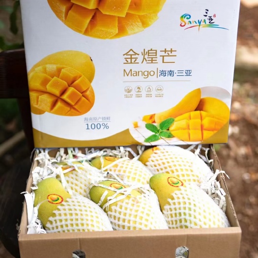 顺丰京东包邮-海南三亚一级金煌芒水仙芒芒果礼盒装