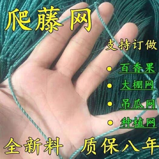 无棣县 爬藤网豆角黄瓜苦瓜丝瓜百香果吊瓜植物攀爬藤蔓网尼龙网豆角网