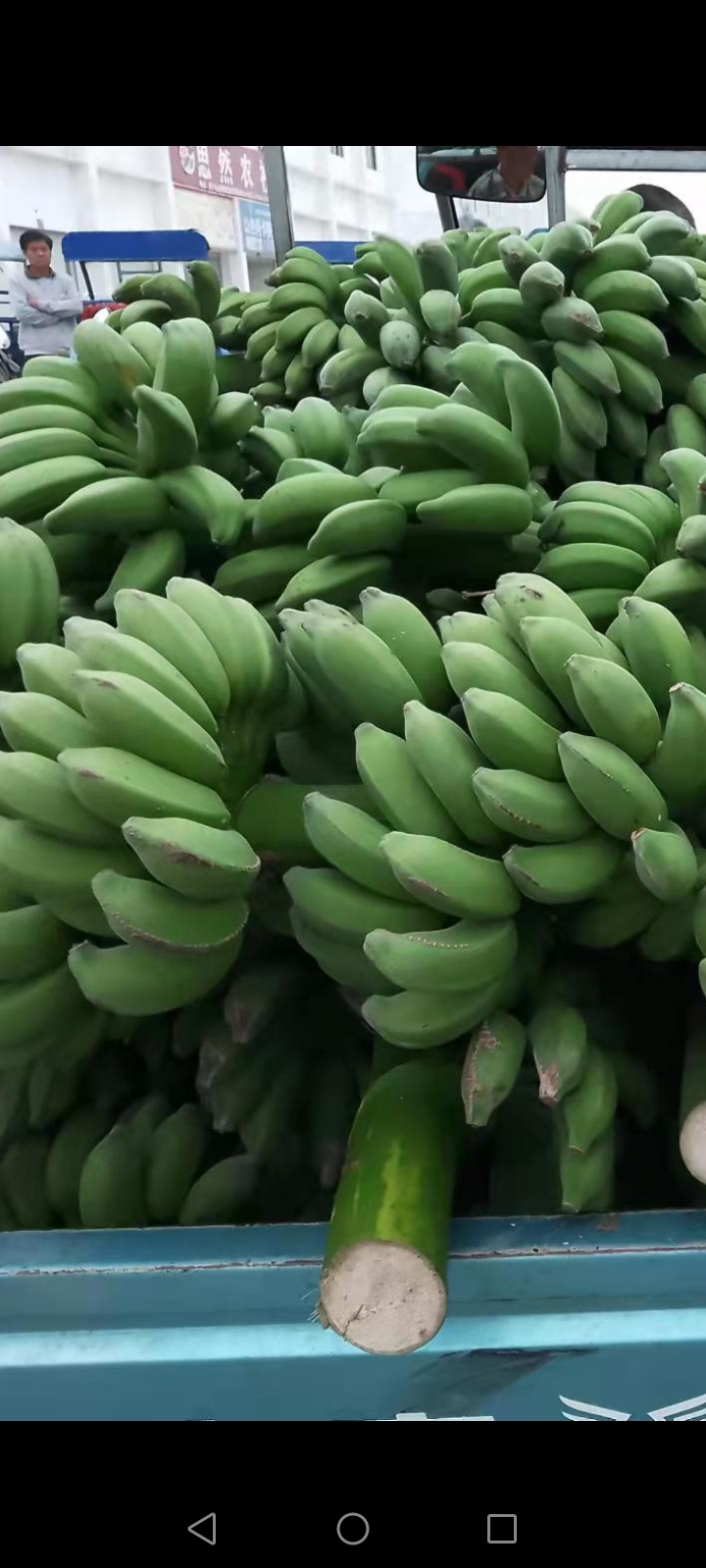 君懿农业新鲜水果酸甜小米蕉皇帝蕉非海南香蕉芭蕉