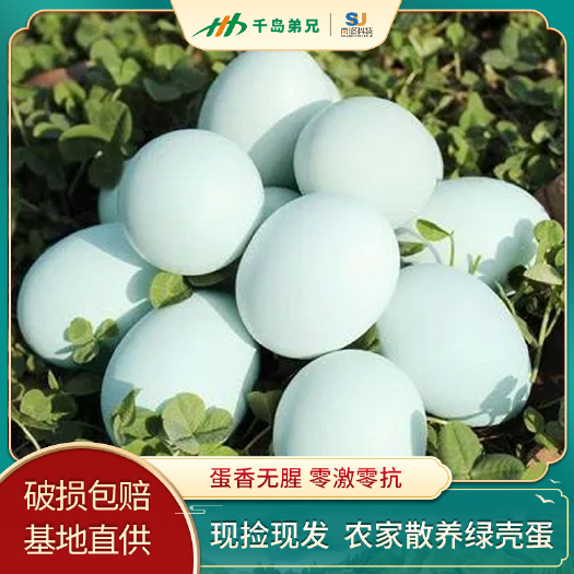 建德市 千岛湖正宗生态散养精选乌鸡蛋