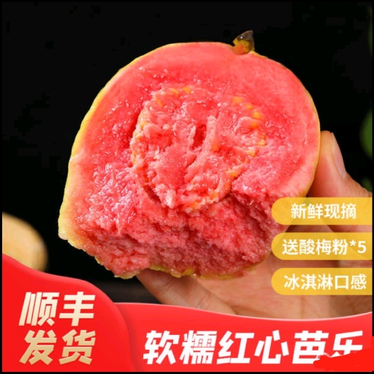 平和县【顺丰发货】软糯清甜红心芭乐番石榴，冰淇淋口感超治yu