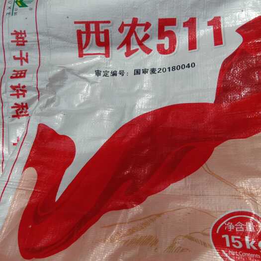 新昌县优质强筋冬小麦种子高产小麦济农科院育矮秆抗倒大穗原种