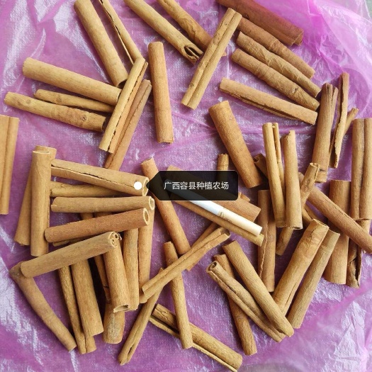 玉林厚肉桂 广西容县桂皮种植农场烟仔桂，肉桂一手货源，z产地直销