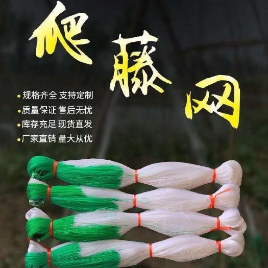 无棣县爬藤网山药豆角虹豆黄瓜丝瓜苦瓜吊瓜百香果种植网植物攀爬网农用