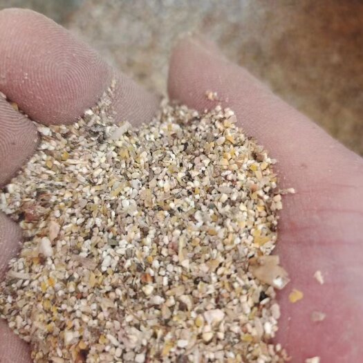 梁山县白玉米粒    微细颗粒碎玉米9个粮