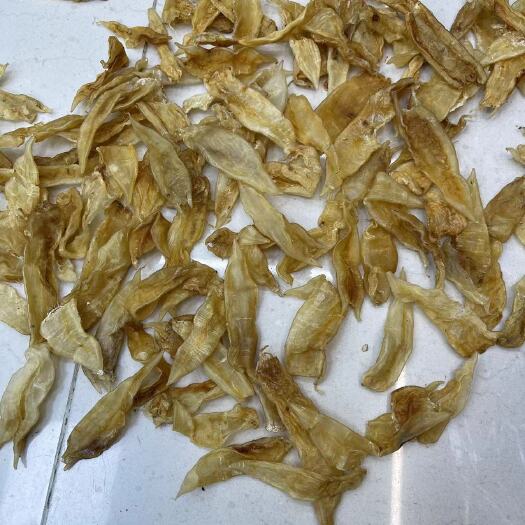 广州花胶 金龙胶130头
