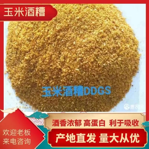 正定县玉米酒糟(DDGS)，一手货源。厂家直销。欢迎光临指导