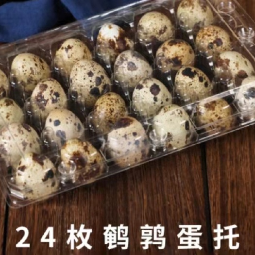 西平县 鹌鹑蛋
