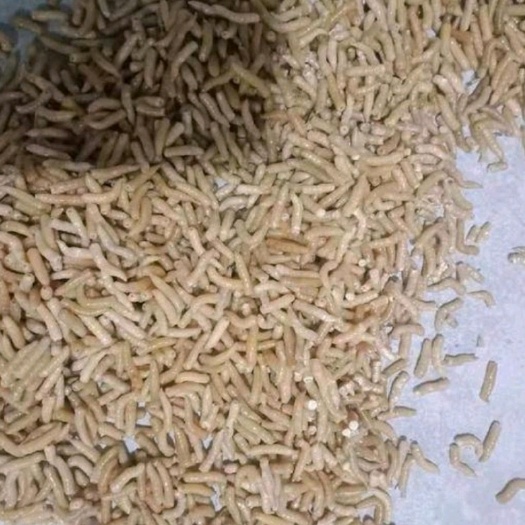 安顺虾饲料 虾塘投喂效果不错！关键是下沉！好饲料才下沉，不污染水体！蝇蛆