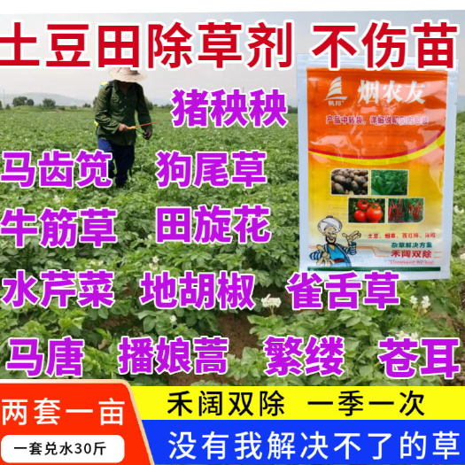 天门市 土豆田除草剂马铃薯除草剂禾阔双除不伤苗洋芋除草剂土豆草药正品