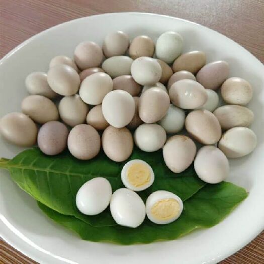 长顺县绿壳蛋 长顺绿壳鸡蛋